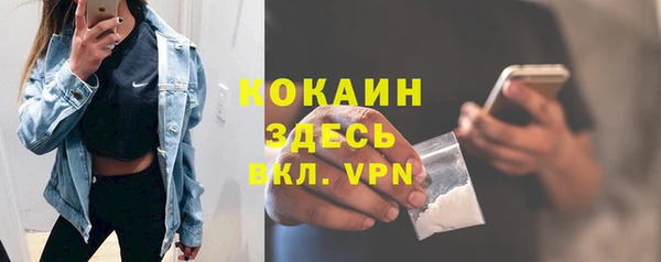 не бодяженный Туринск