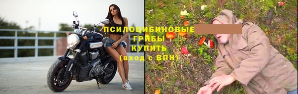 мдпв Заволжск